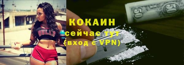 твердый Заводоуковск
