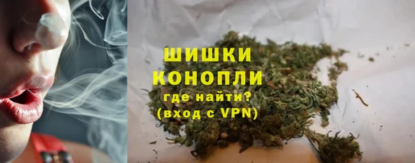 ПСИЛОЦИБИНОВЫЕ ГРИБЫ Ельня