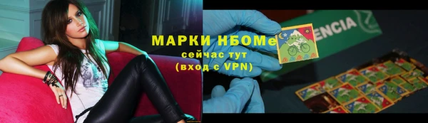 ПСИЛОЦИБИНОВЫЕ ГРИБЫ Ельня