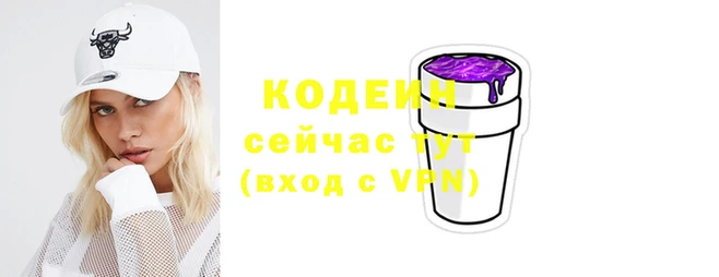 твердый Заводоуковск