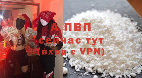 твердый Заводоуковск