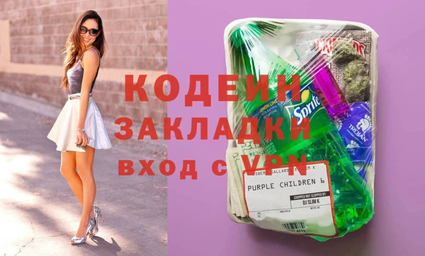 ПСИЛОЦИБИНОВЫЕ ГРИБЫ Ельня