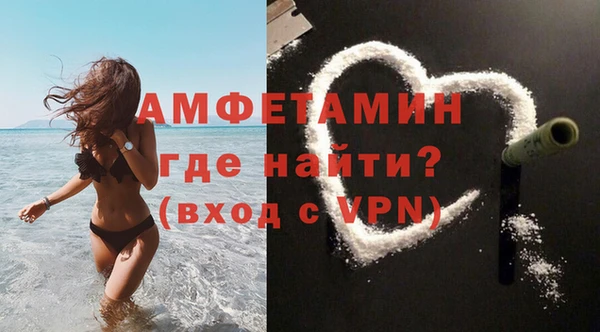 ПСИЛОЦИБИНОВЫЕ ГРИБЫ Ельня