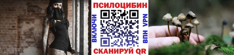 Галлюциногенные грибы мицелий  Купить где  Серов 