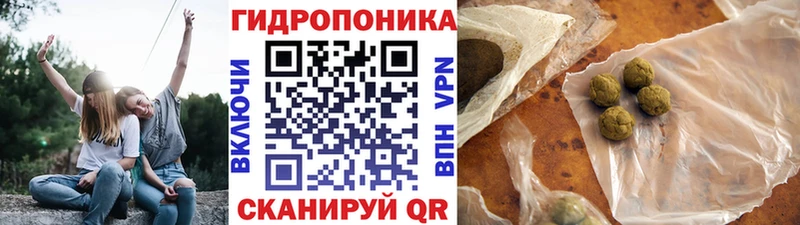 Каннабис AK-47  Купить закладки  Серов 